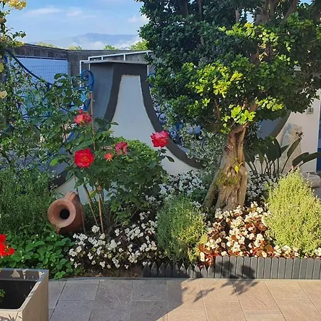 Garden * Sorrento