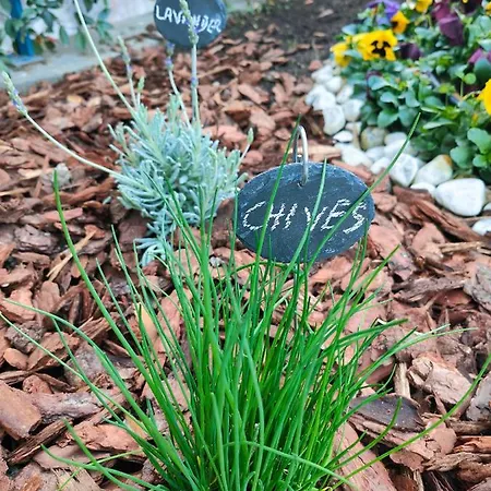 Garden Appartamento