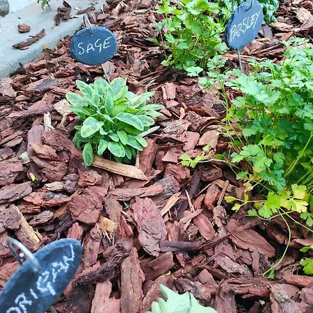 Appartamento Garden