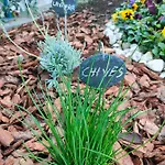 Garden Daire