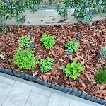 Garden *