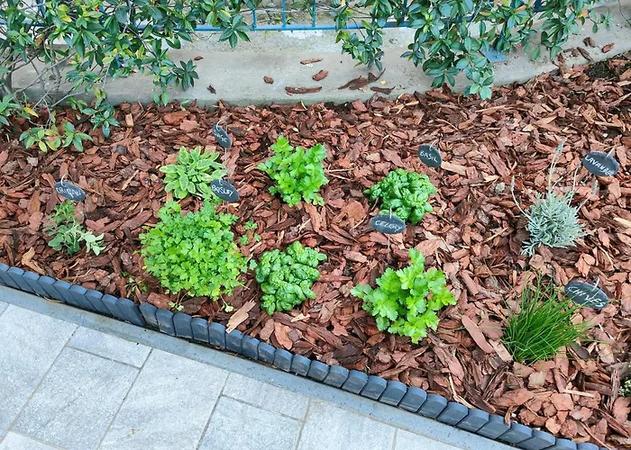 Garden *